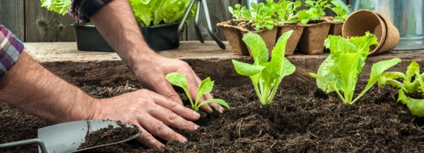 giardinaggio-sostenibile-giardino-ecosostenibile